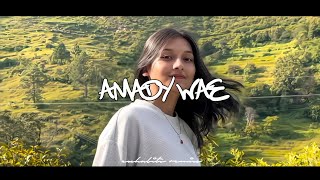 Download lagu LAGU TIMUR SLOW 🌴 || AMADY WAE || TERBARU 2025 mp3