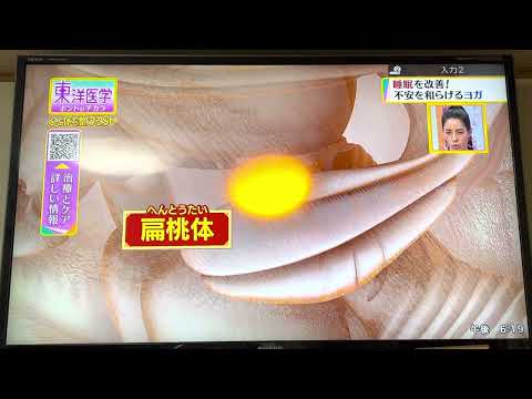 スポーツ学科 2023年4月5日
