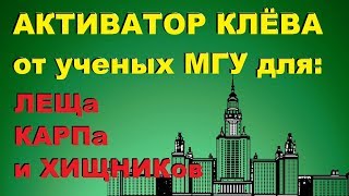 Ссылка