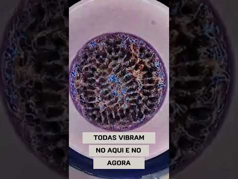 Como Matrix nos revela a verdade? Não há colher