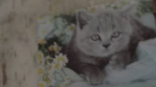 В ожидании Twin Peaks - Moving Through Time