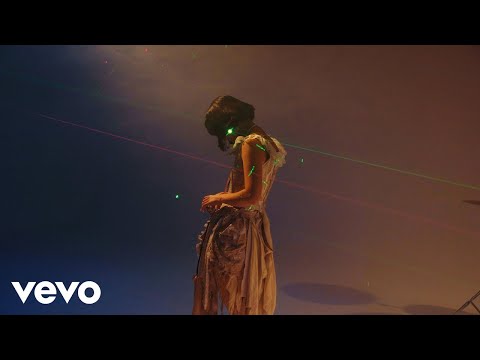 Axolotes Mexicanos - Amarre