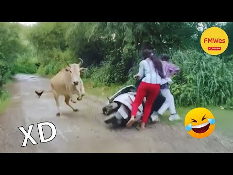 IF YOU LAUGH YOU LOSE GOD LEVEL #569 🤣 TOP 100 FUNNIEST VIDEOS OF ALL TIME 😆