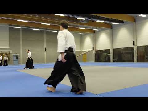 20th anniversary Demo by Christian Tissier Shihan, Wim Van Gils and more