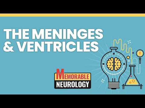 Meninges and Ventricular System Mnemonics (Memorable Neurology Lecture 12)
