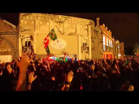 Tomorrowland 2017 Last song's in DreamVille