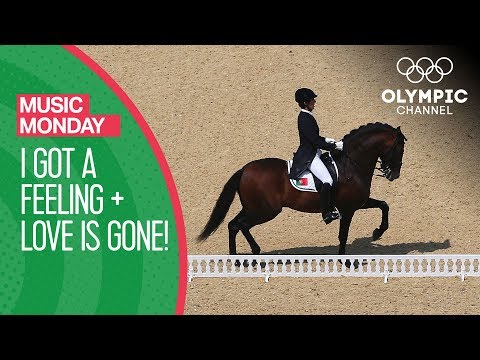 Equestrian Dressage: I Got A Feeling/Love Is Gone | Music Monday