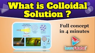 CBSE Class 9 Science Is Matter Around Us Pure - What is Colloidal Solution? | Colloids
