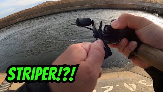 Baby's First Fishing Trip | CA Aqueduct Fishing | Iu Mien Fishing