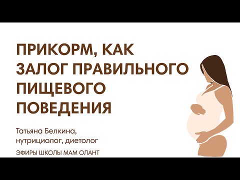 ПРИКОРМ, КАК ЗАЛОГ ПРАВИЛЬНОГО ПИЩЕВОГО ПОВЕДЕНИЯ