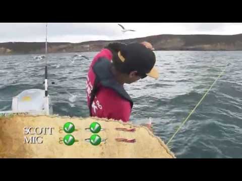 Fishing and Adventure Season 2 Episode 12 - Sandspit