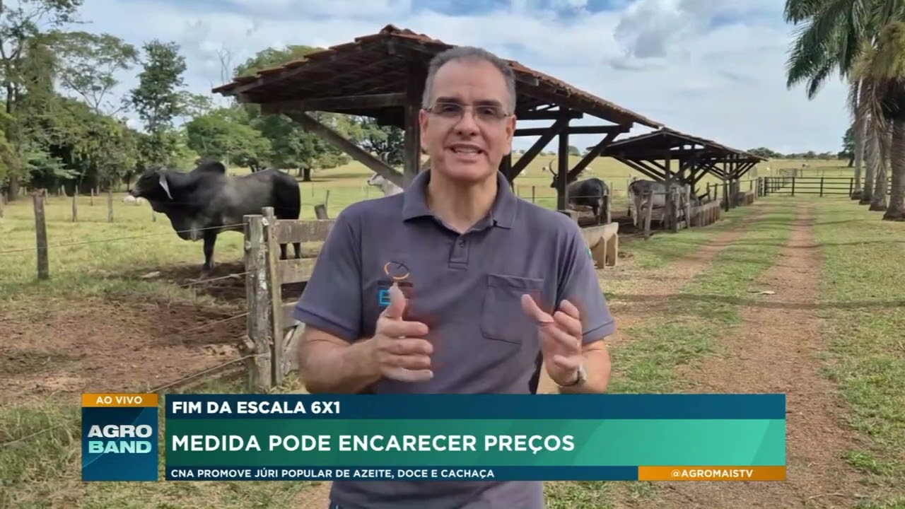 Fim da escala 6x1 pode impactar preços e custos de produção
