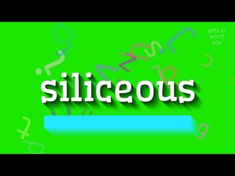 How to say "siliceous"! (High Quality Voices)