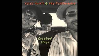 Jesse Harris &amp; The Ferdinandos : I&#39;ve Got To See You Again