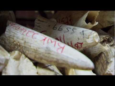 Wildlife Policy: Conservation in the Crosshairs | Community Health