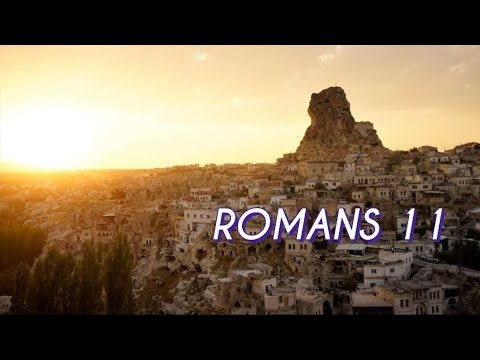 ROMANS 11 NIV AUDIO BIBLE (with text)
