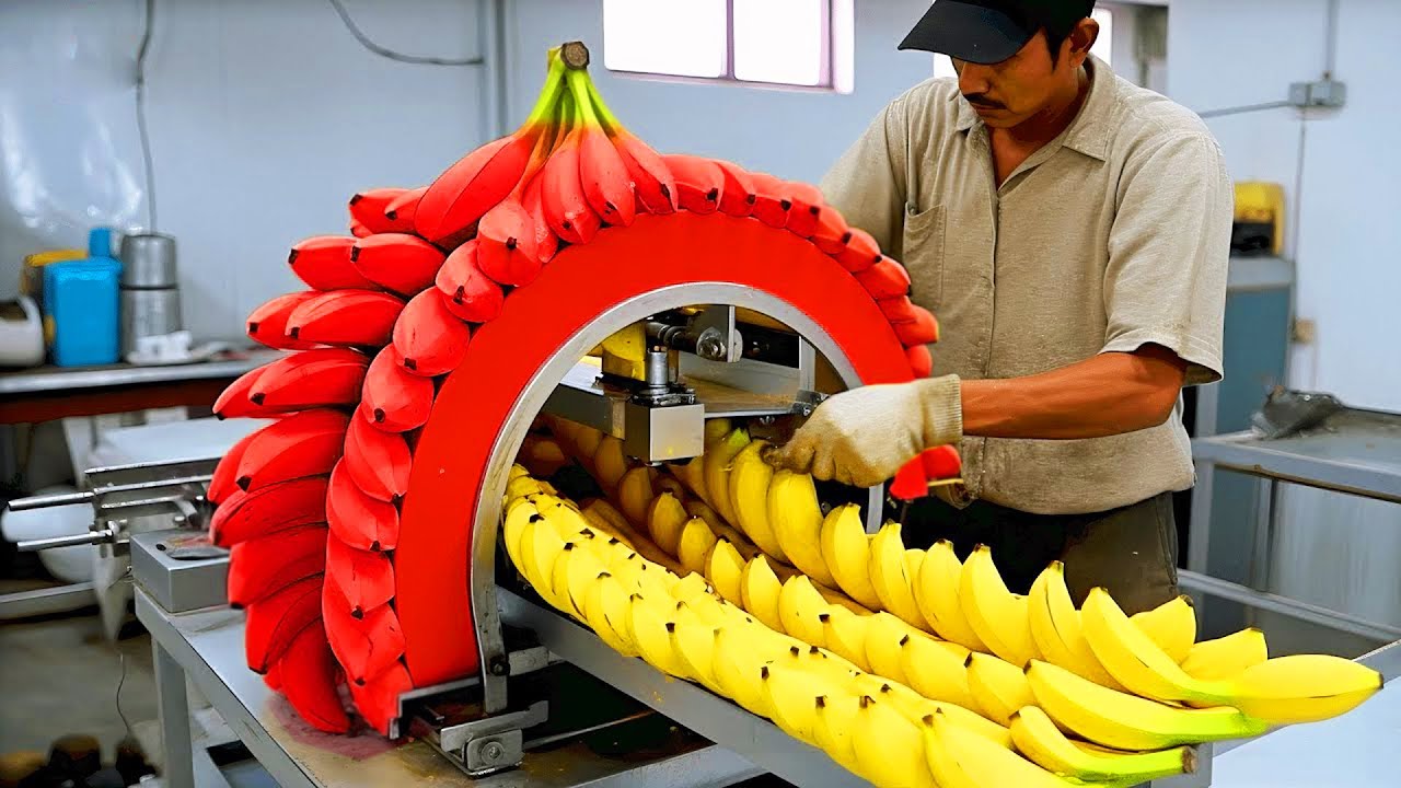 امهر العمال واذكى