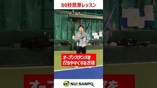 【忙しい人向けテニスレッスン】オープンスタンスの正しい打点で捉えるためのポイント１選〈ぬいさんぽテニス（Tennis）〉 #テニス #テニスレッスン #tennis #ぬいさんぽ