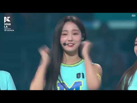 180811 Momoland모모랜드   BAAM, Talk, BBoom BBoom 뿜뿜 @ KCON LA 20181