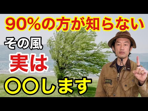 園芸 日本のクロスネ