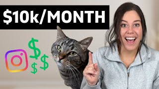 How Much Can Pet Influencers ACTUALLY Make? | Monetizing As A Pet Content Creator