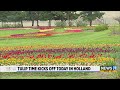 Tulip Time 2025 Kicks Off