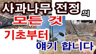사과나무 전정 기초부터 얘기합니다(사과재배, 사과나무 전정, 정지, 전정, 전지, 유인 겨울 사과나무 전정,…