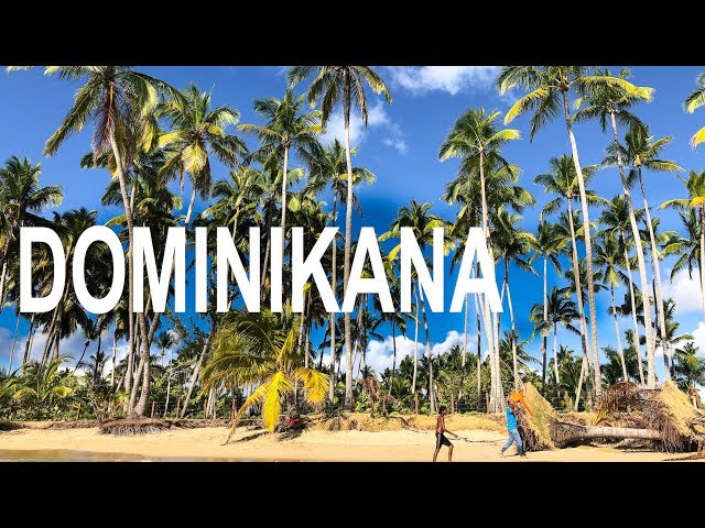 Video Pronunciation of dominikanie in Polish