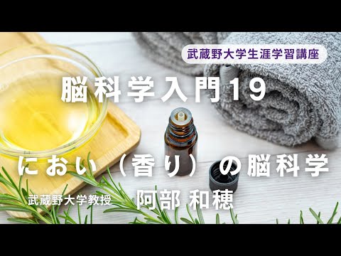 経済学科 脳科学入門１９ ― におい（香り）の脳科学 ―