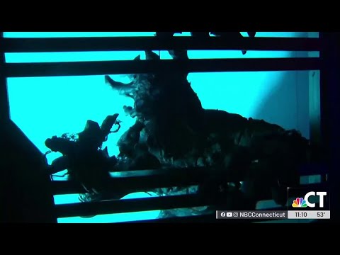 Your inside look at Project Nightmare at Lake Compounce's Phantom Fall Fest in Connecticut