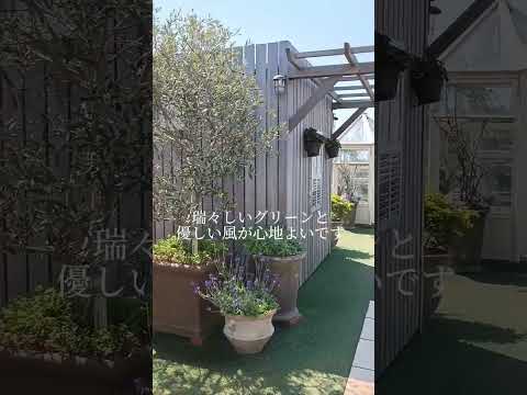 plantes-balcon-astilbe-fleurs-rouges