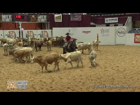 Shiners Hickory Girl ridden by Ashley Deacon-2017 Snaffle Bit Futurity (Herd Work - Open Prelims)
