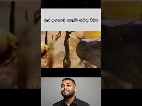 Funny videos 😂 #funny #memes #react #trynottolaugh