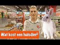 Wat kost een huisdier? | DierenpraatTV