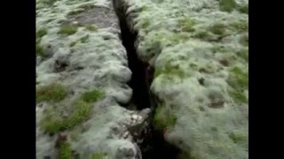 Inside Björk part IV