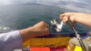Shimano 16 biomaster sw 6000pg