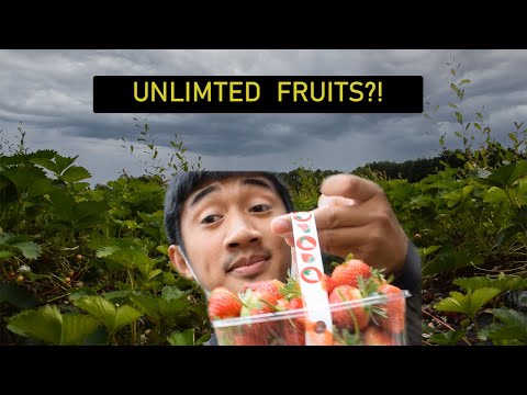 A Day In Crockford Bridge Farm | Oldest Farm In Surrey? | UK