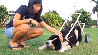 PBS Hawaii - HIKI NŌ Episode 713 | Generation Z  | Full Program