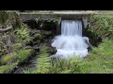新阿蘇紀行（7.山吹水源）