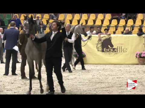 Milan 2016   Class 1A