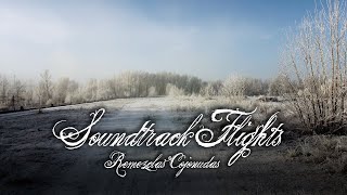 Edward Scissorshands (Danny Elfman) - Soundtrack Flights