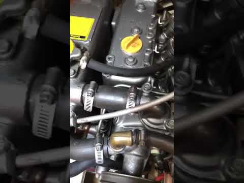 Yanmar 3GM30 startup