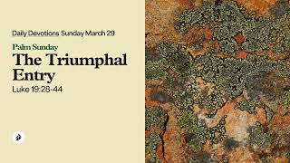 The Triumphal Entry – Daily Devotional