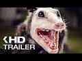 GUEST HOUSE Trailer 2020