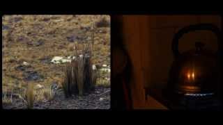Los Caminos Lyrics English Translation