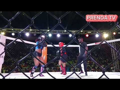 LUTA Jessica Pitbull vs Samara Panamera - Luta das celebridades MMA (melhores momentos)