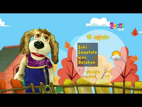 "Hava necə olacaq?" - 18 noyabr 2024-cü il