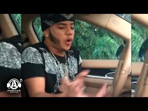 Laidil - Los Defectos No Importan (2017)