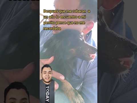 Gran #reencuentro entre #perrito que fue separado de su dueño #mascotas #emociones #viral #reaction