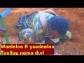 Warana Bilisuma Oromoo Music New